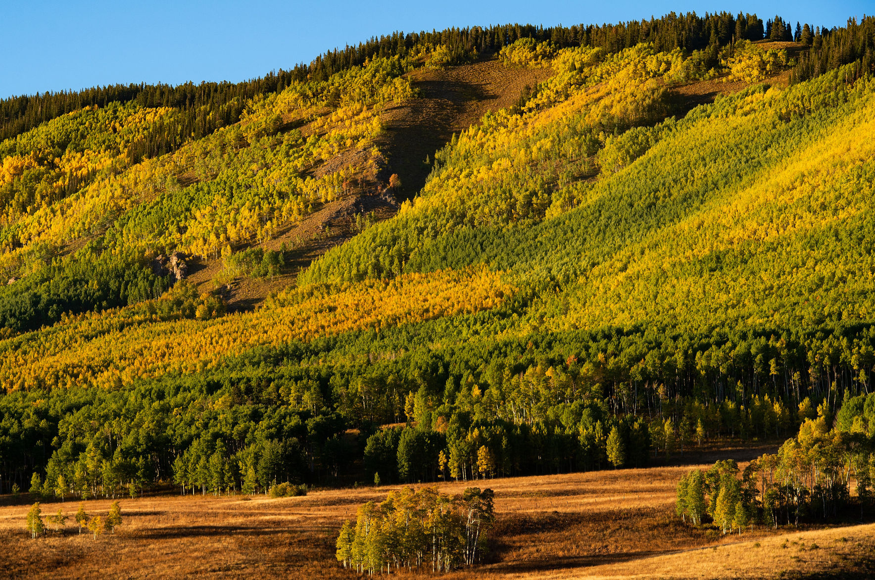 09_24_19 crested butte1476.jpg